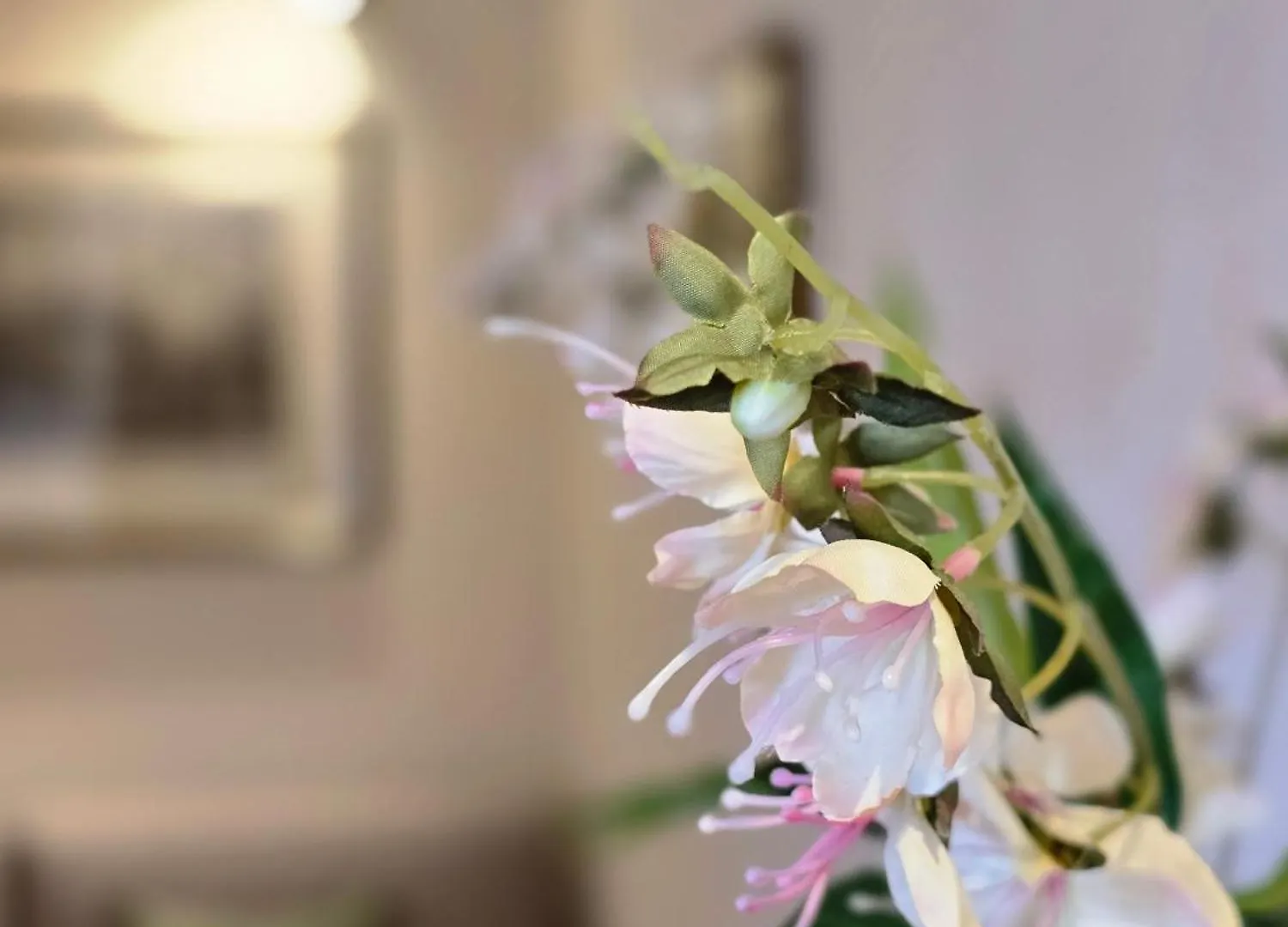 Residence Internazionale Pietrasanta 0*,